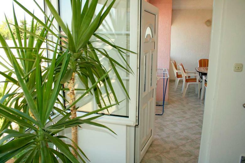 Apartments Mirjana - Stara Novalja Dış mekan fotoğraf