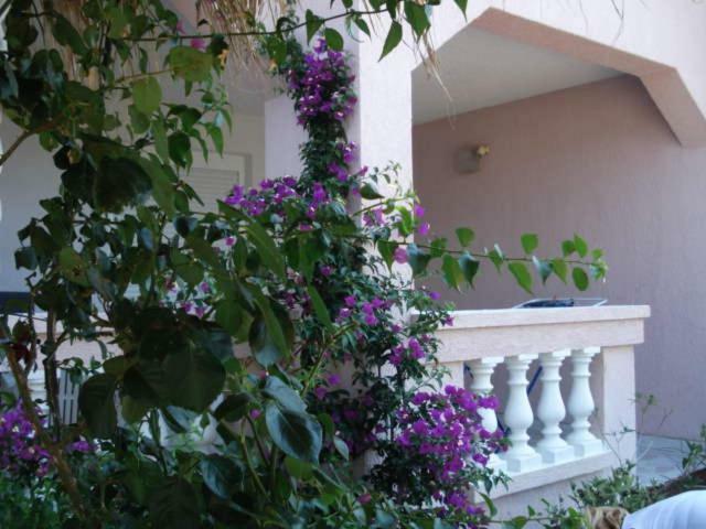 Apartments Mirjana - Stara Novalja Dış mekan fotoğraf